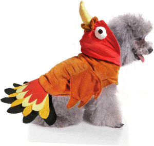 Turkey Dog Costume Thanksgiving Apparel Pet Costume for Dogs and Cats